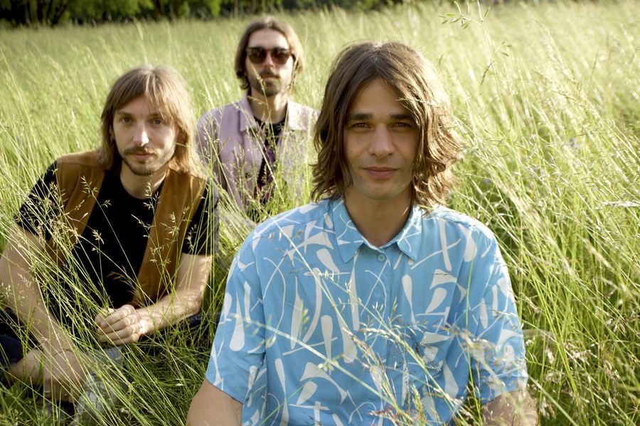 Love'n'Joy sitting in tall green grass