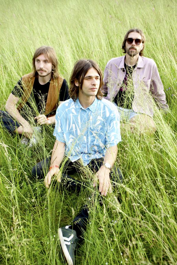 The band in tall grass, vertical shot
